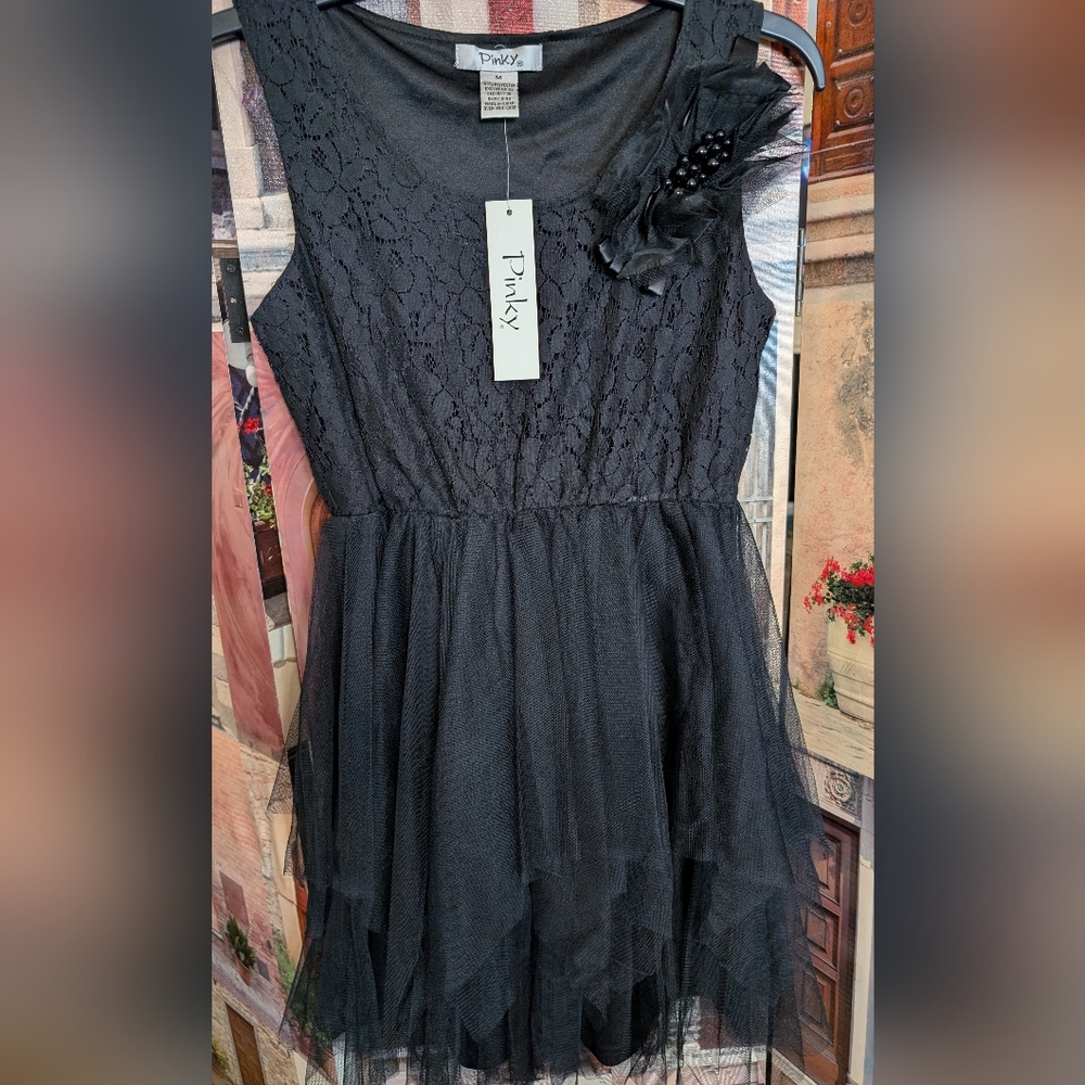 Pinky Elegant Black Ladies Dress
